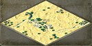 Camel Map Image