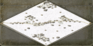 Tarnopol Map Image