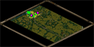 Into the Hornets Nest Map Image