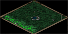 Water Oasis Map Image