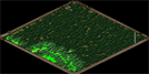 PanzerHunt Map Image
